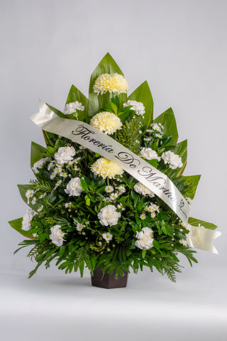 Arreglo de Polar ( Ponpon ) con Clavel color Blanco
