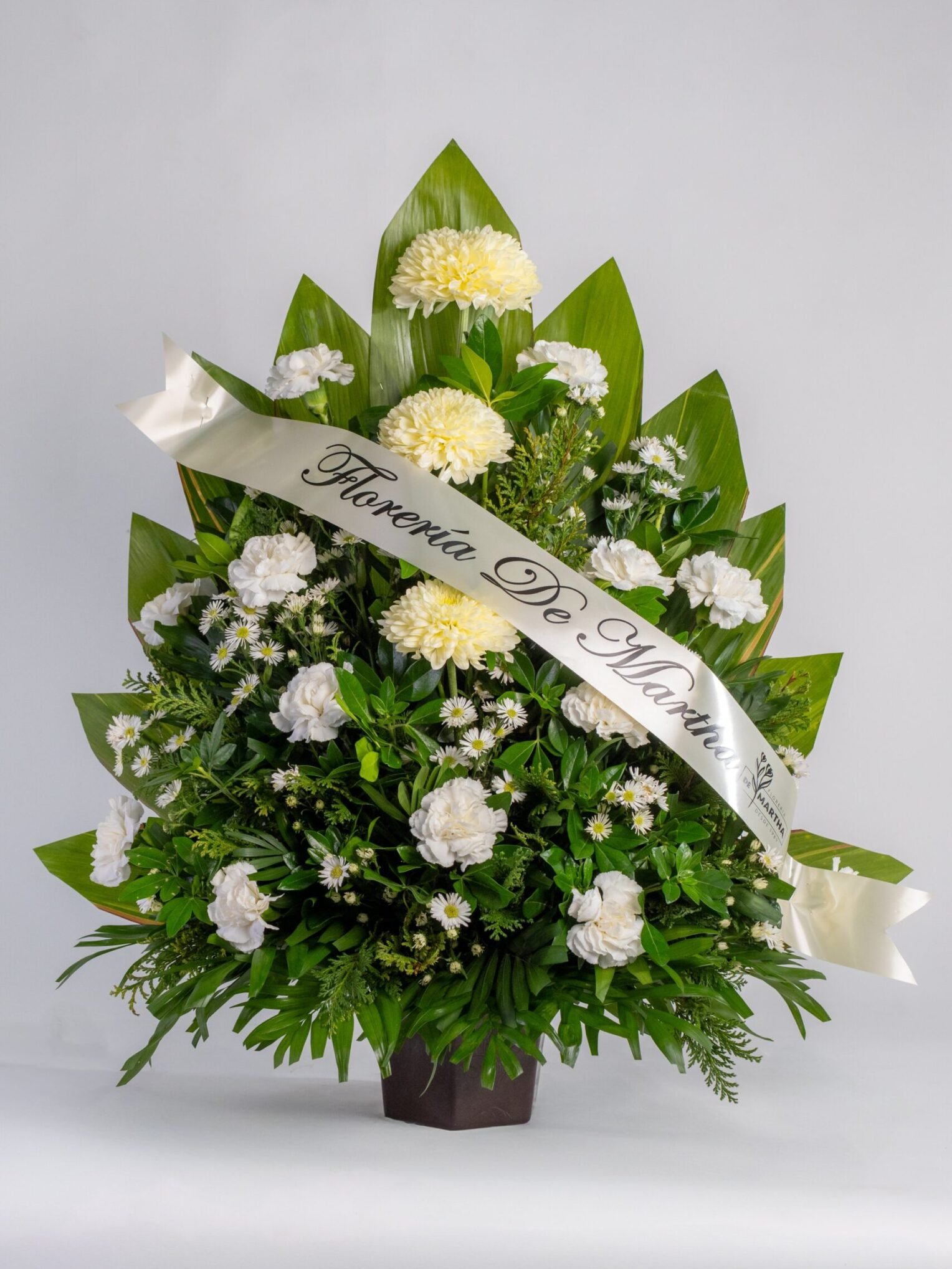 Arreglo de Polar ( Ponpon ) con Clavel color Blanco