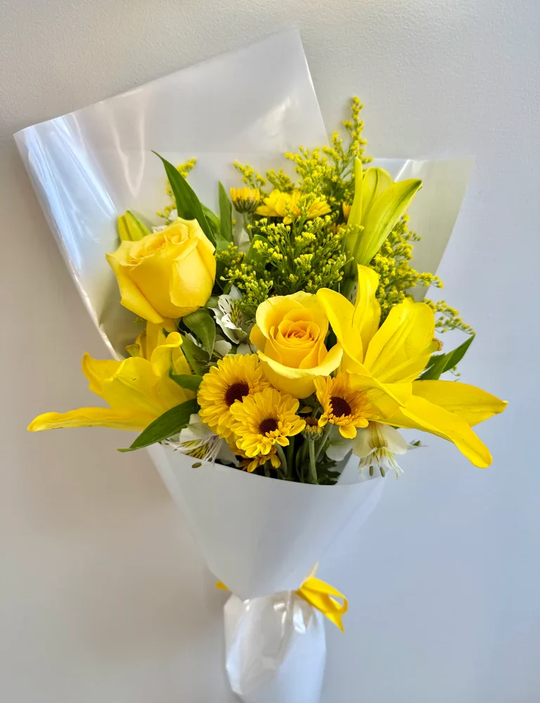 Ramo Sunshine Dreams